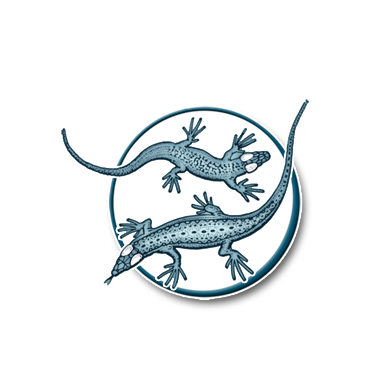 Blue_Lizard_Icon